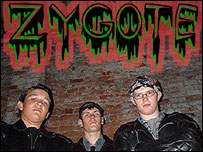 Zygote