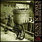 Review of Chinese Democracy