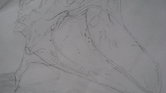 Shell drawing...