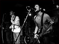 The Swiines
