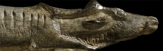 Scratched into a mammoth tusk