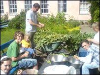 Harvesting broad beans at the Old Hall Community