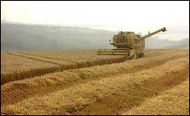 Harvesting 