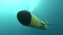Underwater glider