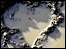 Heart-shaped puddle by Ben Cavanna