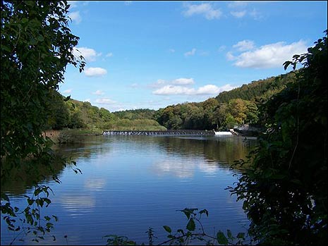 Lopwell Dam