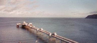 See View