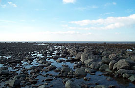 A 'gored' or fishtrap between Aberarth and Aberaeron, once owned by Gwyddno Garanhir?
