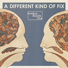 Review of A Different Kind of Fix