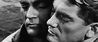 Orphée
