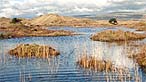 Kenfig