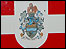 Red Arrows Badge