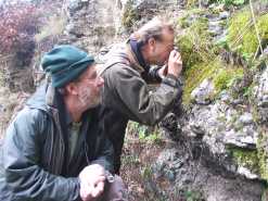 Lionel Kelleway and Mark Lawley getting close to mosses in a woodland bordering Shropshire and Herefordshire.