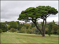 Pounds Park, Plymouth
