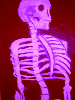 Chalk skeleton