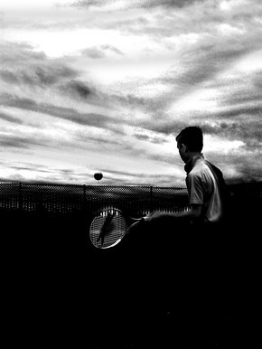 The tennis player
