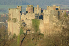 Ludlow Castle