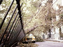 Storm of 1987