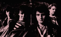 The Stiffs