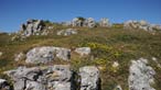 Pen y Gogarth