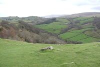 Dyffryn Tywi