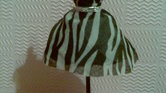 My mini zebra... My mini zebra...
