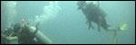 Diving