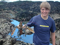 A member of Wadebridge School finds a lobster