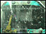 WEBCAM: Beached 2007