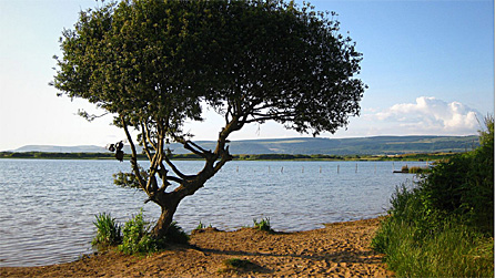 Kenfig Nature Reserve by Foomandoonian