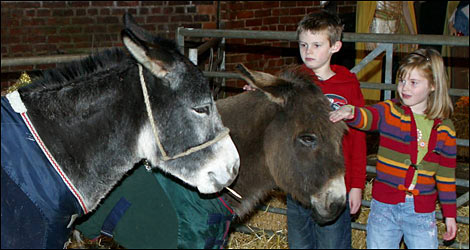 Children with donkeys