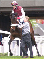 Ascot horse enters