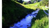 Follow the Stream...