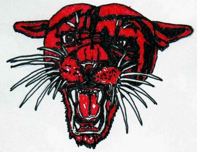 Black and red panther