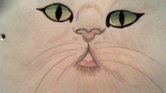A cat!