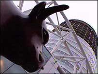 Bullring