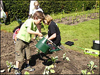 Boy in allotment