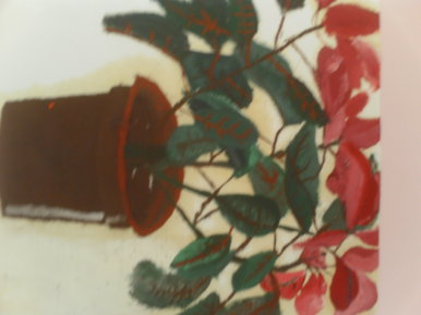Flowers in a pot