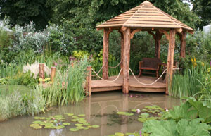 Pond