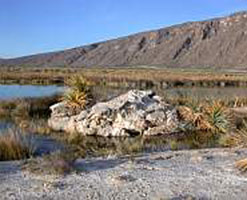 The Laguna Intermedia spring, Great Chihuaha Desert, Mexico.