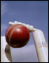 Cricket
