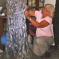 Carole Andrews