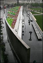The pavilion's living roof (artist's impression)