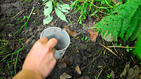 Small pot