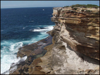 Rugged Coastline