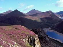 Mourne