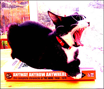 Miss Kitty E-Card