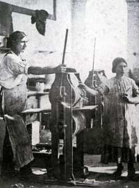 Printer and cutter