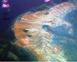 Image of the great barrier reef