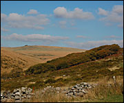 Wistmans Wood
